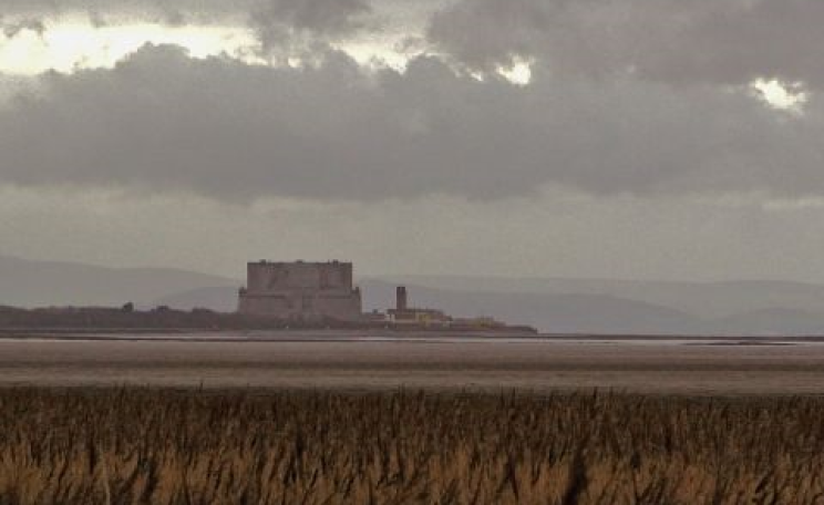 Hinkley Point nuclear plant, viewed across the reedbeds from Steart. Quantock Hills in the background. Photo: Mark Robinson via Flickr.com.