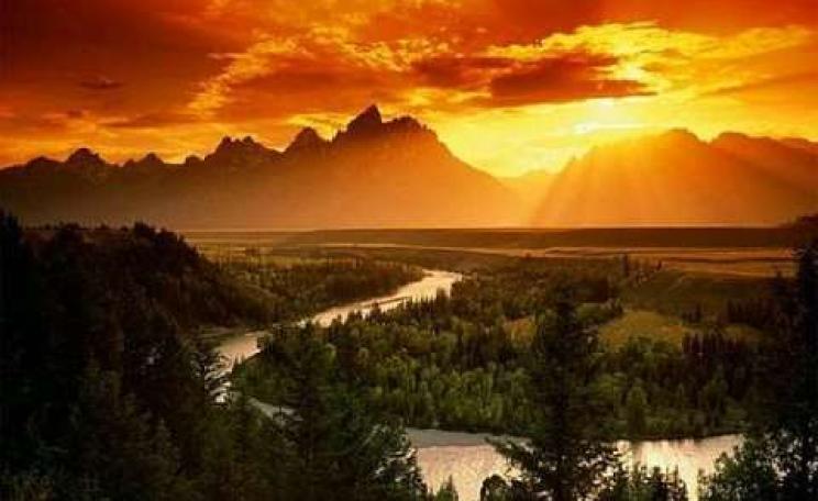 Yasuni National Park. Source: http://www.ecohustler.co.uk/.