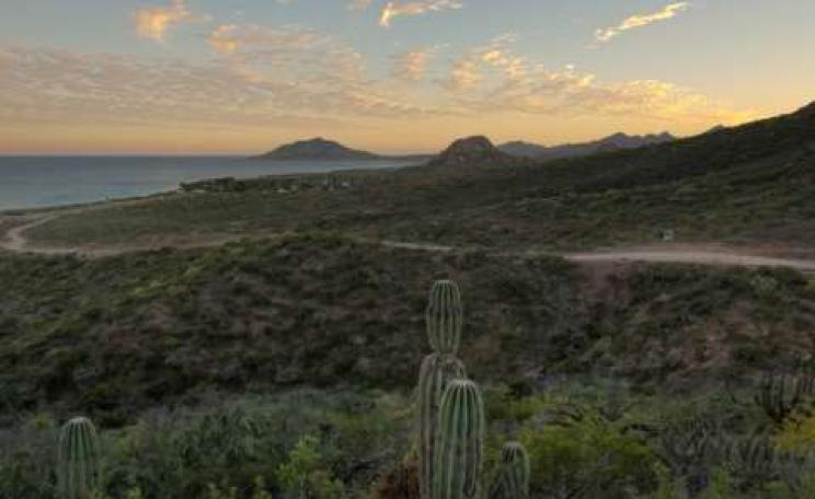 Cabo Pulmo, in its current, concrete-free incarnation. Alan Harper, CC BY-NC.