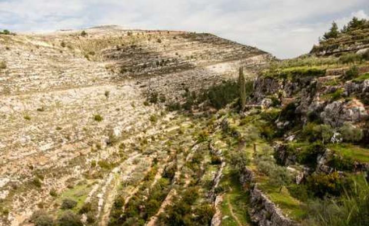 A terraced valley at Battir. Photo: Andrea Moroni via Flickr.