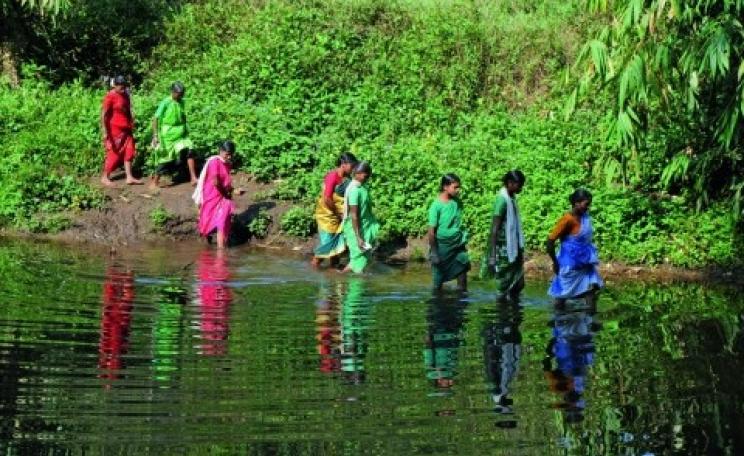 The women farmers of Edamalakudi. Photo: Madhuraj, Mathrubhumi Weekly.