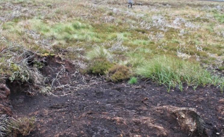 Walshaw Moor, near Hebden Bridge, after burning to improve grouse yields. Photo: energyroyd.org.uk/ .