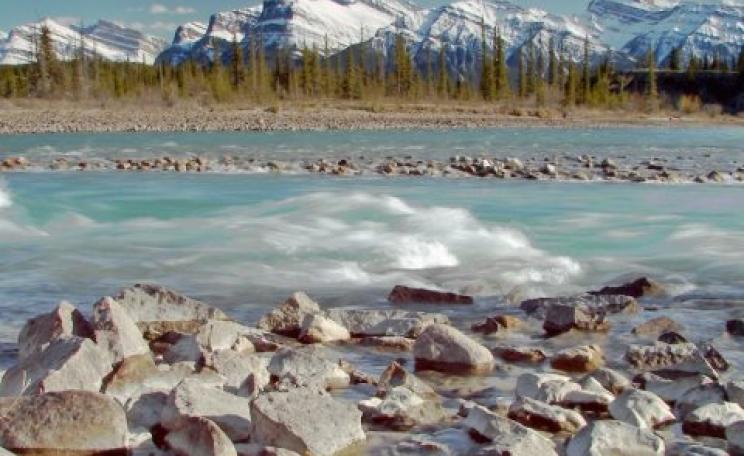 The North Saskatchewan River in the Kootenay Plains. Photo: Alan Ernst.