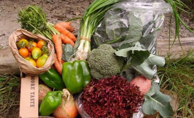 A gorgeous organic vegetable box from the Miller family farm. Photo: Alicia Miller.