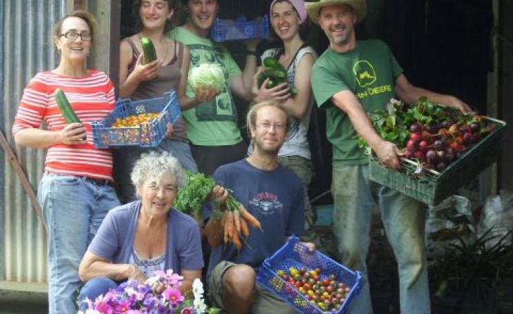 Life on the Miller farm is good - so long as you're not the one who has to balance the books. Photo: Alicia Miller.