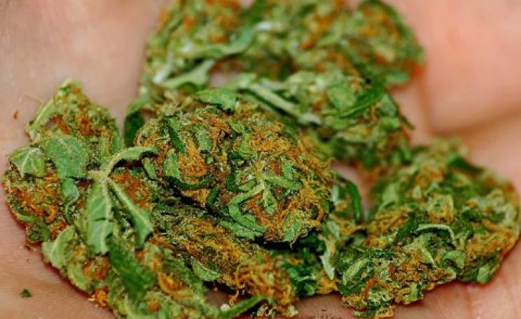 Nothing but the best for Uruguay's pot-smokers when the state monopoly comes into force in 2015. Photo: Katheirne Hitt via Flickr.