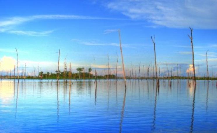 The Balbina Dam reservoir. Photo: via Greenpeace.