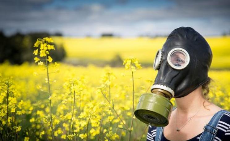 With GMO agriculture, a walk in the countryside could be like this in the future. Photo: Liam Wilde via Flickr.