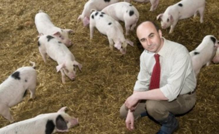 Philip Lymbery at work. Photo: CIWF.