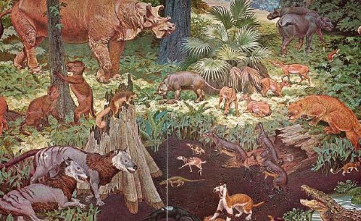 Eocene fauna of North America, on a 1964 mural made for the US government-owned Smithsonian Museum. Photo: Jay Matternes / Wikimedia Commons.