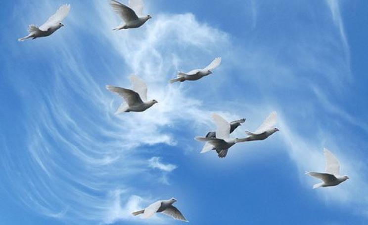 Photo: Alice Popkorn via Flickr, CC BY-ND 2.0.