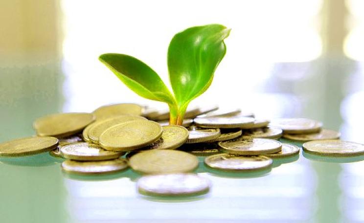 Do trees grow on money? Photo: Tax Credits via Flickr (CC BY).