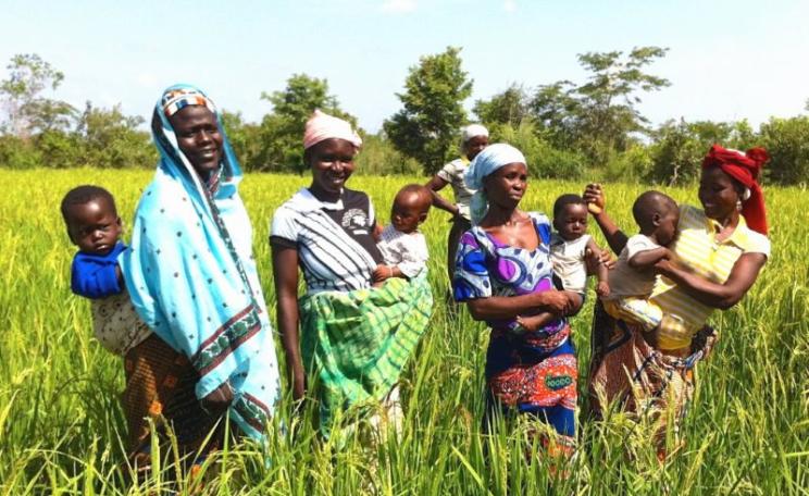 Rice farmers and their children greeting visitors to Brong-Ahafo village, Ghana. The seeds they grow, and the land they grow them on, are essential to their survival. Photo: Eileen Delhi via Flickr (CC BY-NC-SA).