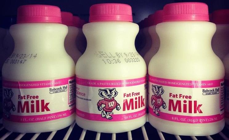 Milked fresh from real badgers every day! (Only kidding) Photo: ken fager via Flickr (CC BY-NC-SA).