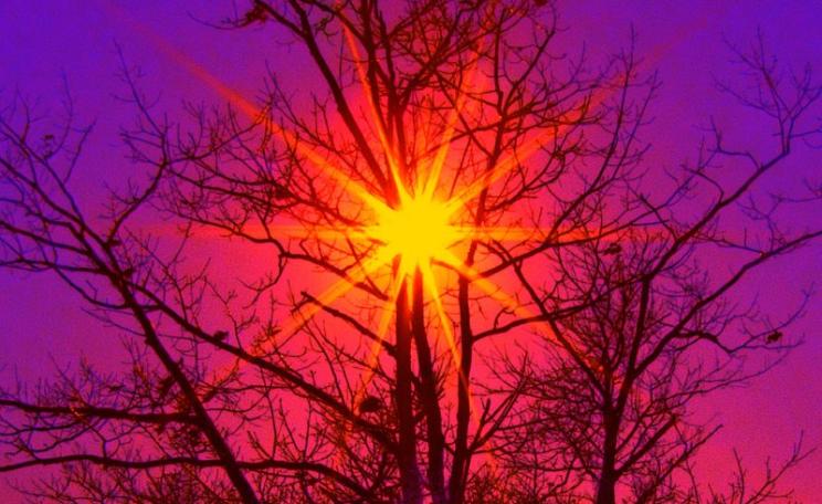 A new dawn beckons for renewable energy. Photo: winter sun in Joppa, Massachusetts by Russ Seidel via Flickr (CC BY-NC-ND).