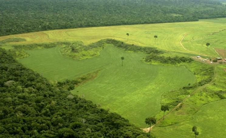Intensive cultivation of soya advancing into the forests of the Mato Grosso, Brazil. Photo: Leonardo F. Freitas via Flickr (CC BY-NC-SA).