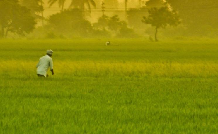 Photo: Arath Kuchi via Flickr (BY-SA)