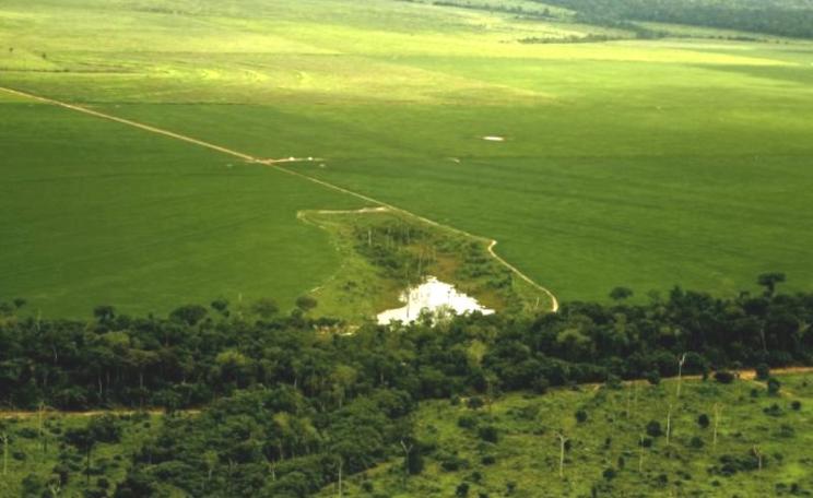 Enormous farms are eating deep into the forests of the Mato Grosso in Brazil - and the EU is one of the main markets for the soya they produce. Photo: Leonardo F. Freitas via Flickr (CC BY-NC-SA).