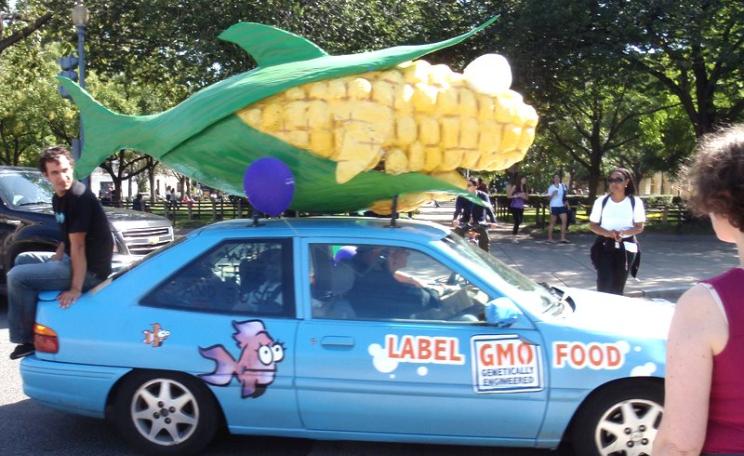 The principle that we have a right to know what we are eating is admirably straightforward. That's why the biotech and agrochemical industries have to spin so hard to convince us that ignorance is bliss. Photo: Daniel Lobo via Flickr (CC BY).