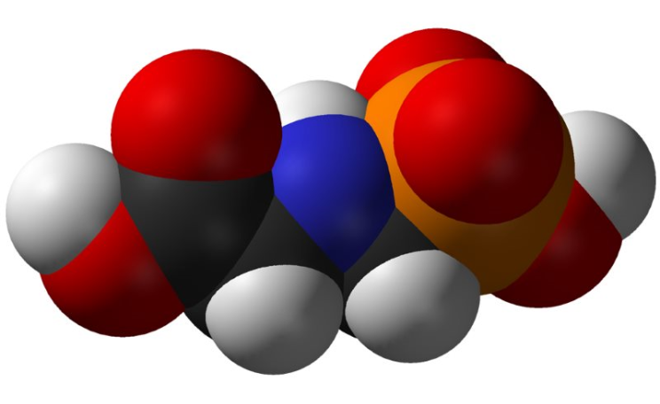 IARC believes the glyphosate molecule itself is damaging to health, not just commercial herbicide mixtures complete with co-formulants. Image: Benjah-bmm27 via Wikimedia Commons (Public Domain).