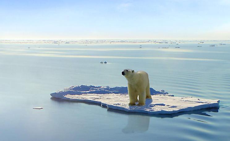 Polar bear adrift in the Arctic Ocean. Photo: Gerard Van der Leun via Flickr (CC BY-NC-ND).