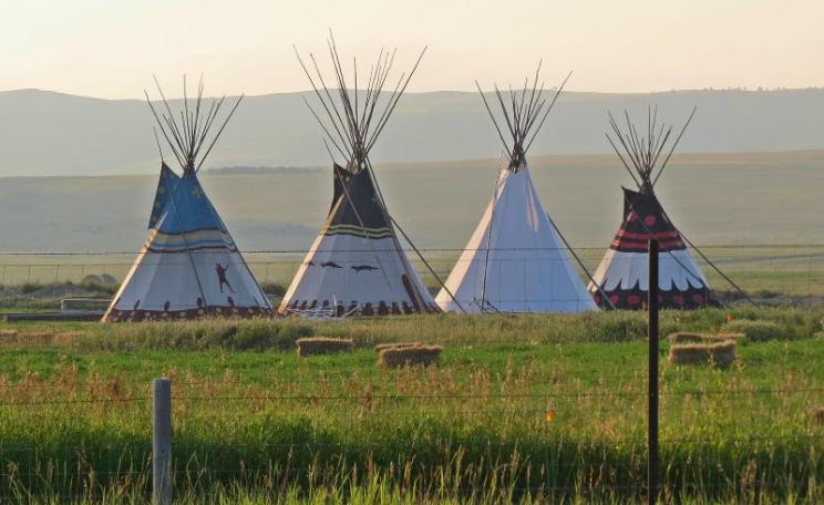 Fenced with barbed wire: Blackfeed Indian tipis near the Glacier Nation Park, where the NPS is excluding the Indians from their rightful access to the Park and its resources, in clear breach of an 1895 contract. Photo: Bon via Flickr (CC BY-NC-ND).