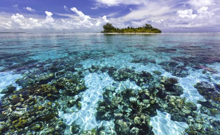 South Water Caye Marine Reserve is one of seven protected areas that make up the Belize Barrier Reef Reserve System World Heritage site, at risk from oil exploration and drilling. Photo: © Antonio Busiello / WWF-US.