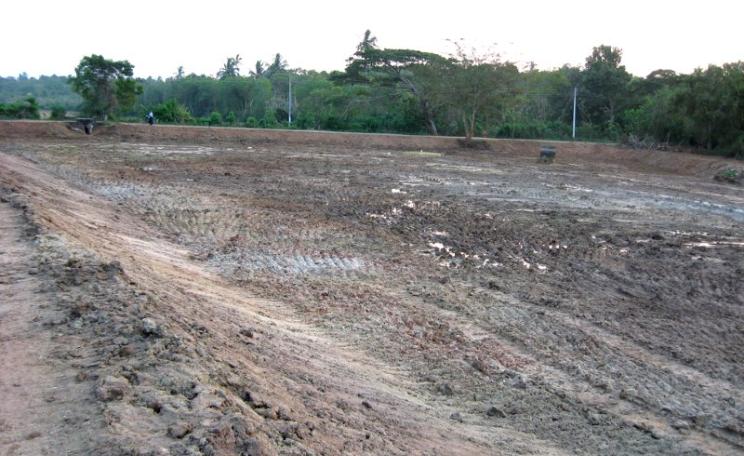 Once a mangrove forest full of life, now a sterile shrimp farm. The hard labour of destroying mangrove forests and building and operating shrimp farms is often performed by slaves. Photo: Tracy Hunter via Flickr (CC BY).