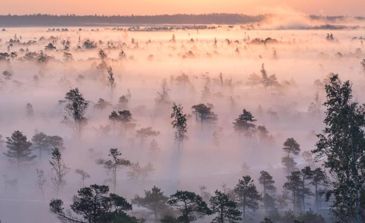 September sun rising over foggy wetlands, Ķemeri National Park, Latvia - part of the 'Natura 2000' territory designated under EU nature laws for its biological diversity, the unique Ķemeri Moorland, various ecosystems, and springs of mineral and curativ