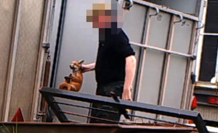 Outside the kennels of the South Herefordshire Hunt. Photo: League Against Cruel Sports.