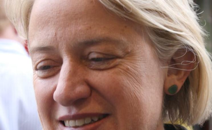 Natalie Bennett campaigning in Cambridge during the general election of 2015. Photo: Rama via Wikimedia Commons (CC BY-SA).