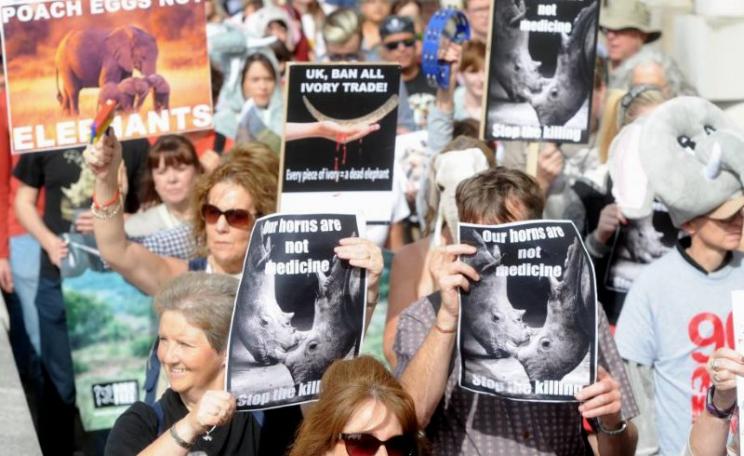 Protestors march on the UK Prime Minister's Downing Street residence to demand a complete ban, in the UK and worldwide, on the trade in antique ivory. Photo: Paul Nicholls Photography.