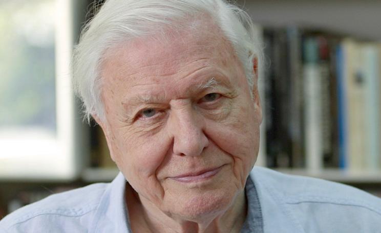 David Attenborough is interviewed at his home by Damian Kahya of Unearthed. (c) Tom Pursey, via Greenpeace.