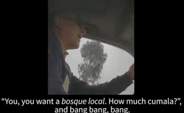 Global Witness has released undercover footage with exporters in Peru discussing unlawful practices. (c) Global Witness.