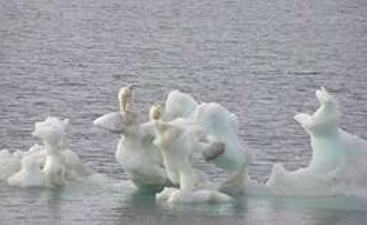 VANISHINGARCTIC_OCT07-_MA.jpg