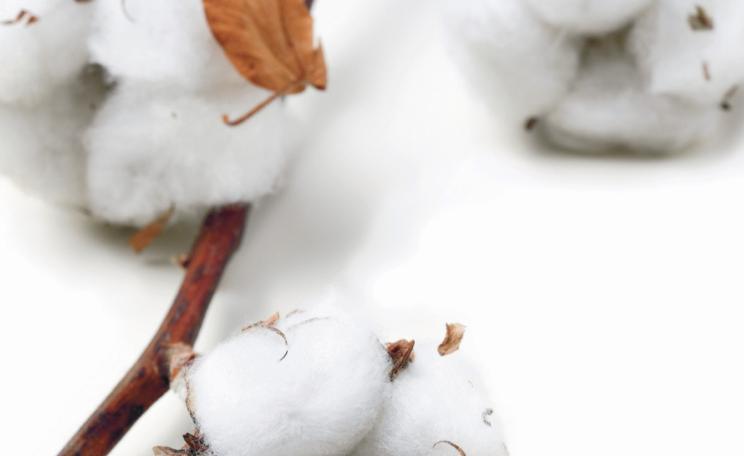 What's the most sustainable fabric?