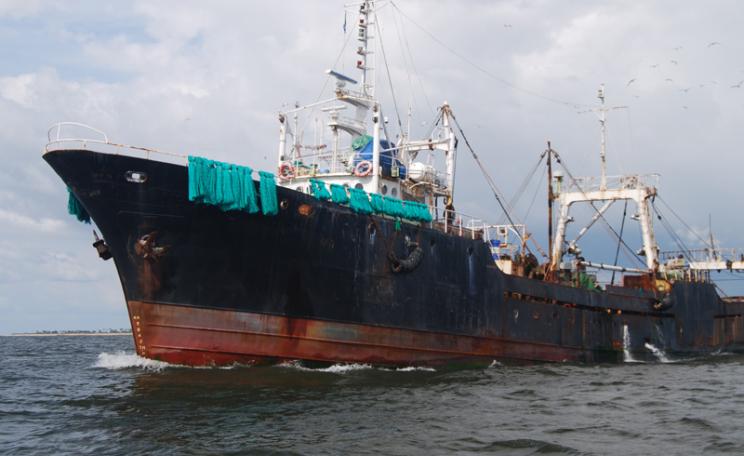 Save our seas from pirate fishing