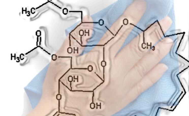 Ecover surfactant molecule