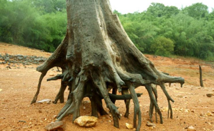 Soil erosion is being blamed on poor farming practices